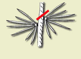 ArisGrana.jpg