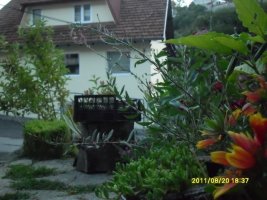 058-1.jpg