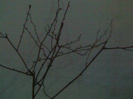 060320112591.jpg