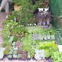100_0202.jpg