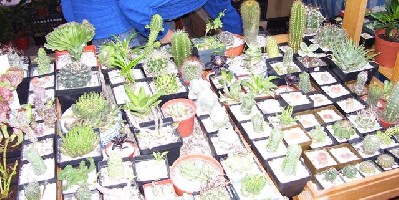 100_0203.jpg