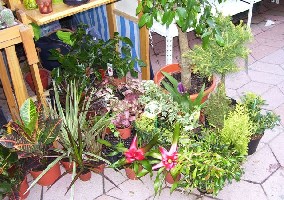 100_0205.jpg