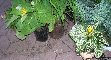 100_0207.jpg