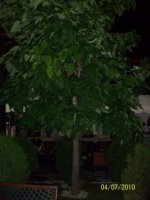 100_1831.jpg