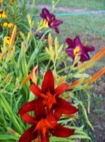 100_8711.jpg