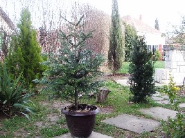 15.01.2007.JPG