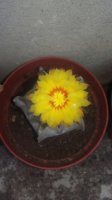 20150812_164348.jpg