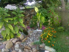23072010775_resize.jpg