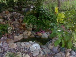 23072010776_resize.jpg