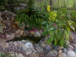 23072010778_resize.jpg