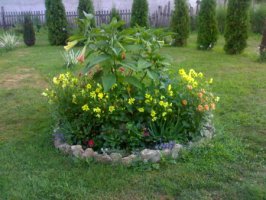 23072010779_resize.jpg