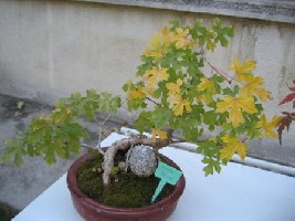 Beograd 016.jpg