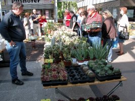 bild 023.jpg