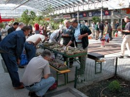 bild 024.jpg