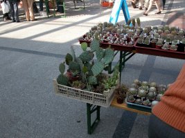 bild 026.jpg