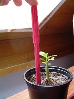 DSC00023.jpg