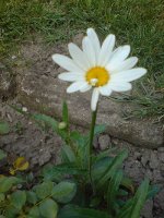 dsc00030 edit.jpg