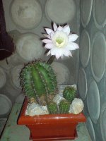 dsc00039 edit.jpg