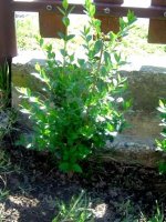 dsc00157.jpg