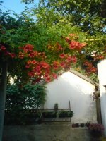 dsc00237_resize.jpg