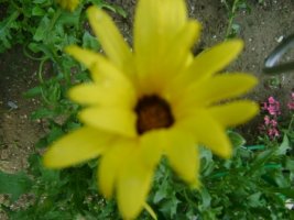 dsc00738.jpg