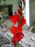 dsc00747.jpg