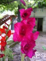 dsc00748.jpg