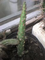 dsc01056.jpg