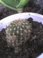 dsc01070.jpg