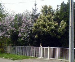 dsc01073.jpg