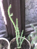 dsc01077.jpg
