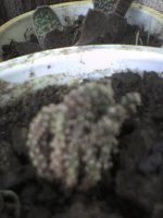 dsc01080.jpg