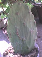 dsc01086.jpg