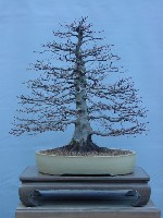 DSC02723.JPG
