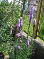 dsc03235.jpg