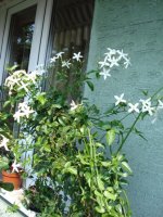 dsc09570.jpg