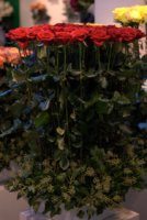 dsc_4638.jpg