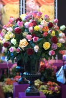 dsc_4666.jpg