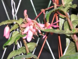 dscf2272.jpg