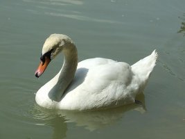 dscf2500.jpg