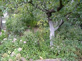 DSCF5151.JPG