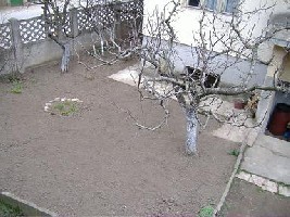 DSCF5917.JPG