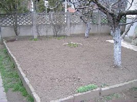 DSCF5918.JPG