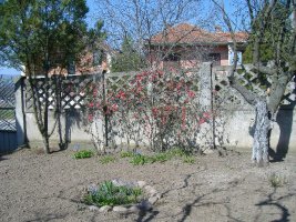 dscf6200.jpg