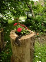 dscn0211.jpg