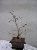 DSCN1088.jpg
