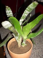 dscn1099.jpg
