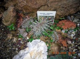 dscn1105.jpg
