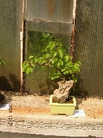 DSCN1442.jpg