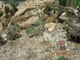 dscn1605.jpg